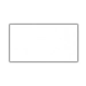 Revestimento 30200 Retificado Brilhante Branco 30x61cm 2,04m2